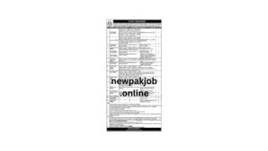 Read more about the article Karachi Public Sector Company Jobs 2024 Through PTS newpakjob.online