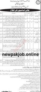 Read more about the article Jobs for BISE Shaheed Benazirabad at Nawabshah PTS in 2024 newpakjob.online